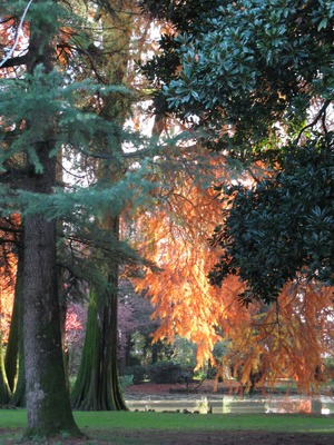 Villa San Carlo autunno nel parco